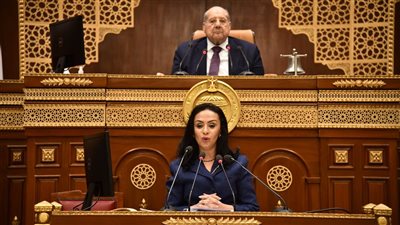 وزيرة التضامن: الرئيس السيسي لم يذكر لفظ فقير مصري