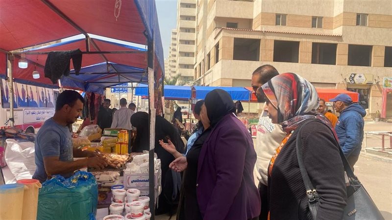 الإسكندرية 