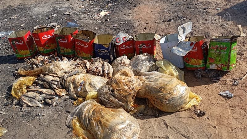إعدام أسماك مملحة
