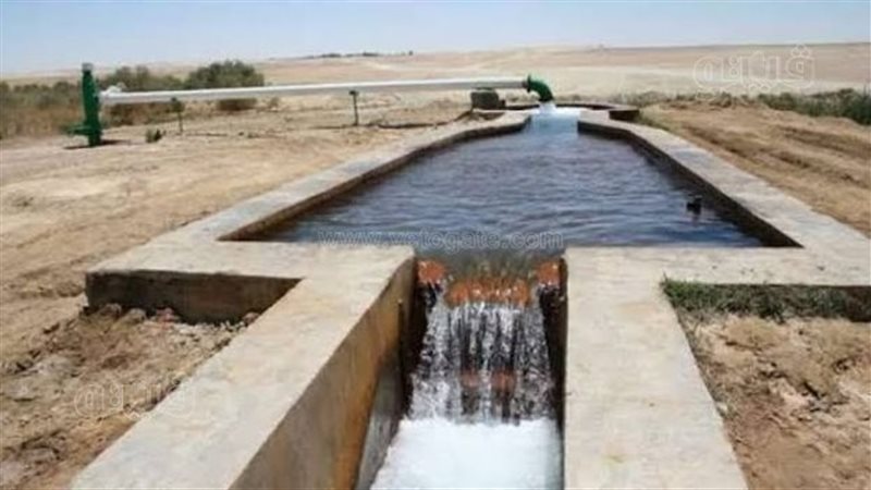 حوض ري زراعي، فيتو
