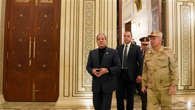 السيسي يتفقد مسجد السيدة نفيسة (فيديو)