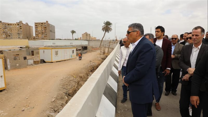 محافظة الجيزة, فيتو