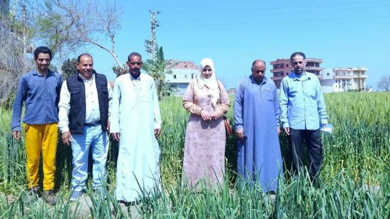 زراعة الشرقية تنفذ