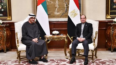 بن زايد يشيد بالجهود المصرية للتوصل إلى اتفاق لوقف إطلاق النار بغزة