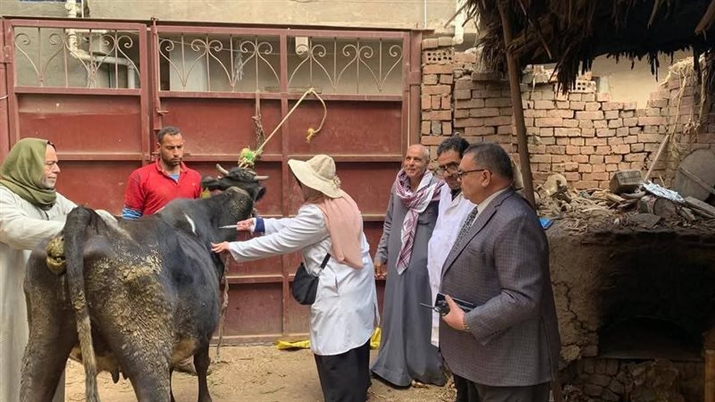 تحصين مواش بالدقهلية،