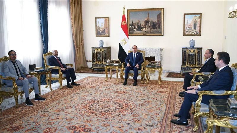 الرئيس السيسي يستقبل