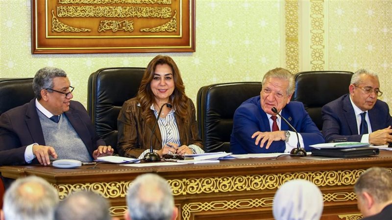 منال عوض، فيتو