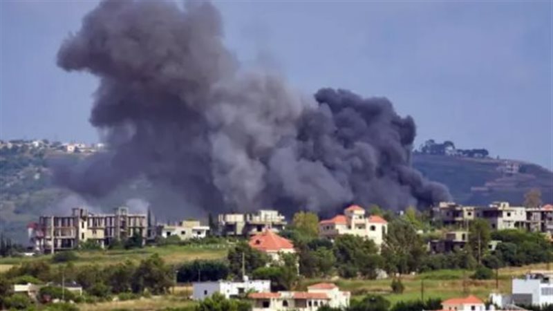 جنوب لبنان، فيتو