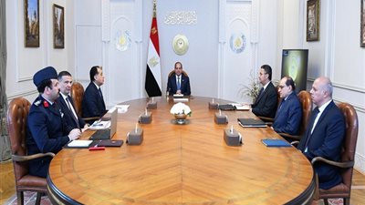  نشاط الرئيس اليوم، السيسي يتابع جهود تحقيق الأمن الغذائي وتعزيز العلاقات مع إسبانيا والصومال