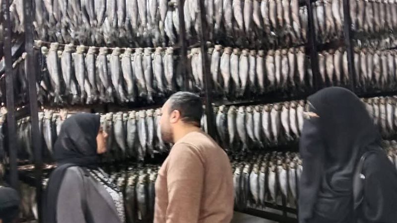 جانب من الحملات،