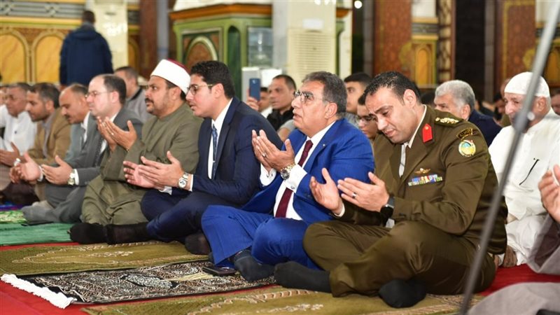 محافظ الدقهلية يشهد