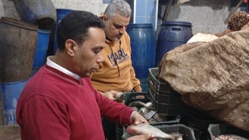 حملات تموينية بالدقهلية،