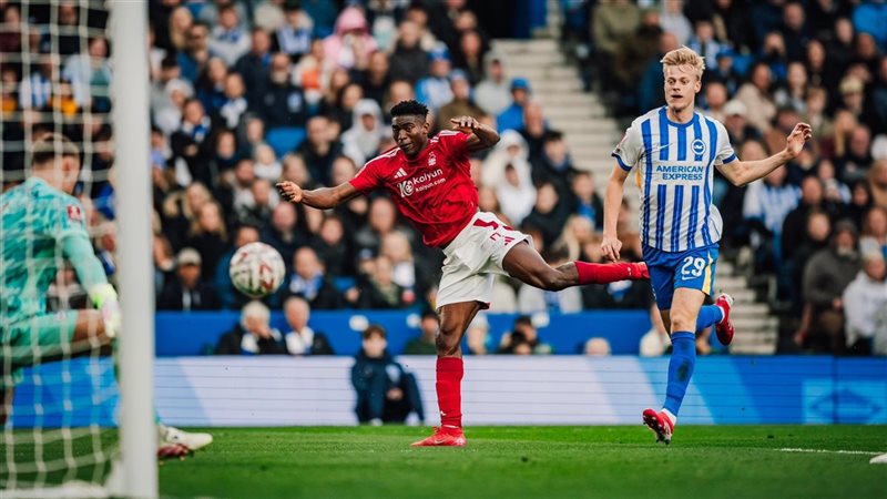 برايتون ونوتنجهام