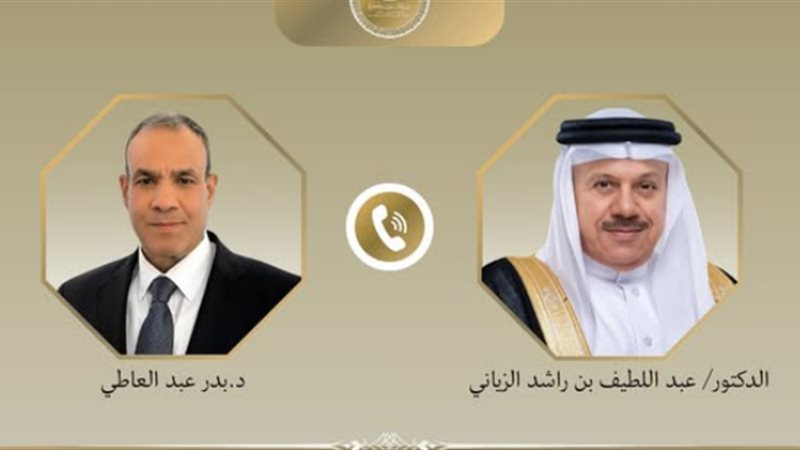 وزير الخارجية ونظيره