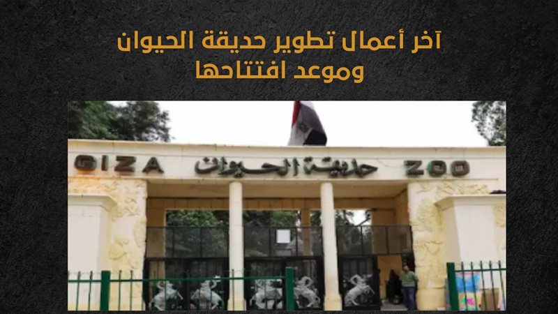 فيتو