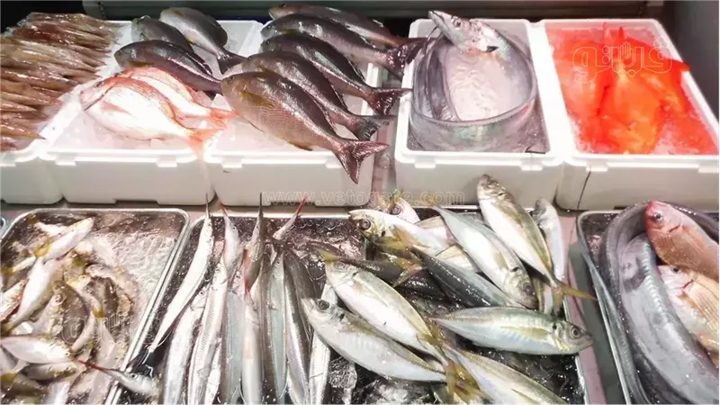 سعر السمك اليوم،