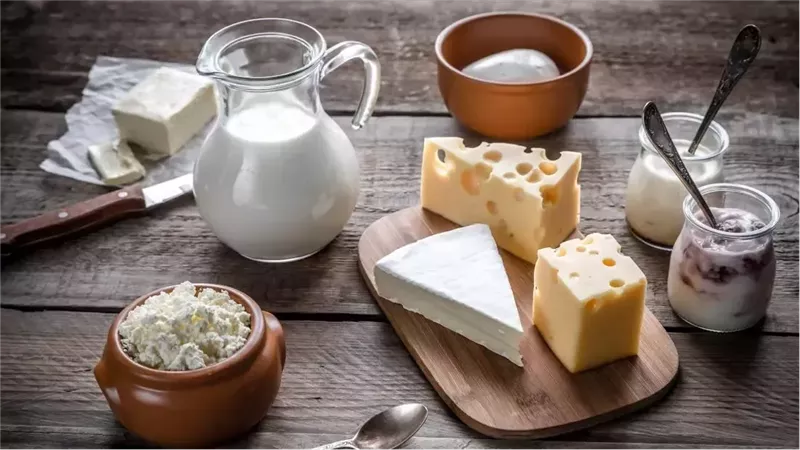أسعار الجبن اليوم