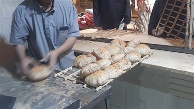 حملات رقابية مكثفة على المخابز والمنافذ التموينية بالجيزة ودمياط وتحرير 98 مخالفة