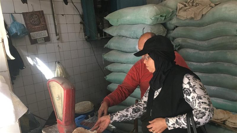 تموين الإسكندرية