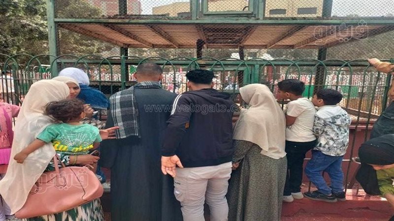 إقبال أهالي الشرقية