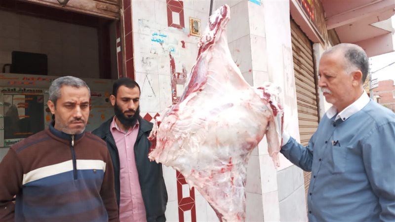 حملة تموينية 