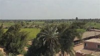 حالة الطقس غدا الجمعة ٣-١٢-٢٠٢١ في الفيوم