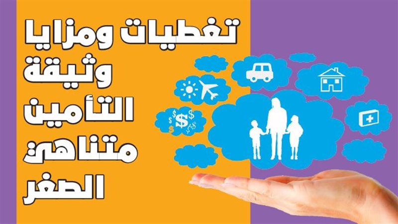 التأمين 