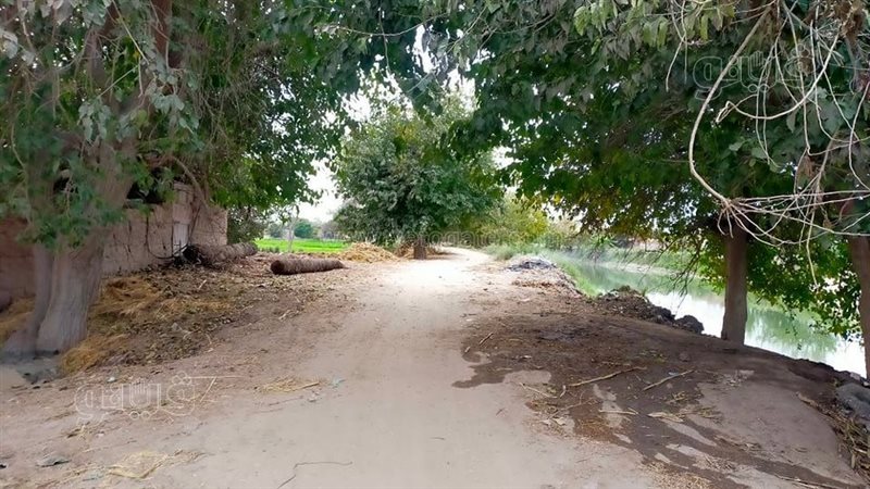 موقع الحادث بقرية