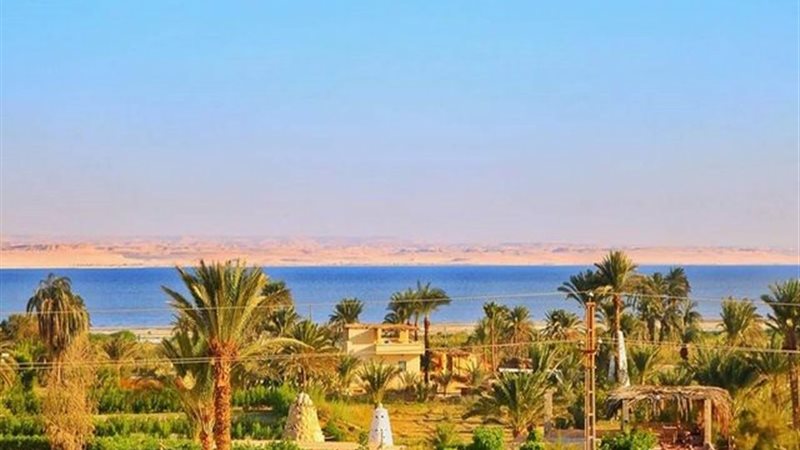الفيوم