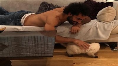 محمد صلاح: عندى قطتان في البيت.. وأدعم الحيوانات بعائد بيع قميص ليفربول