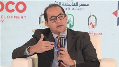 المالية: هدفنا رفع معدلات الاستثمار وزيادة عوامل جذبه