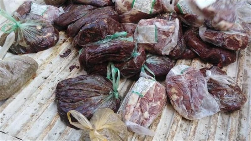 كبدة فاسدة