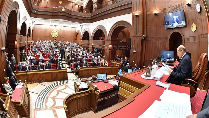 مجلس الشيوخ 