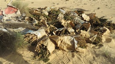 سقوط 267 متهما بحوزتهم 31 كيلو هيدرو وبانجو بالمحافظات