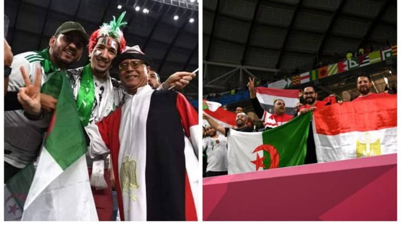 جماهير مصر والجزائر