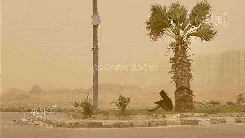 عاصفة الترابية، فيتو