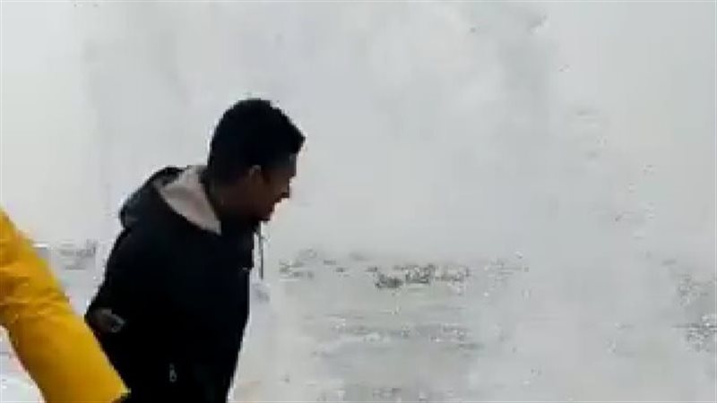 الاسكندريه
