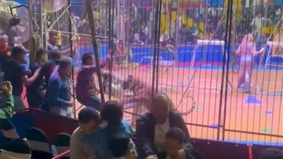 محاكمة أنوسة كوتة في واقعة ضحية النمر بطنطا غدا