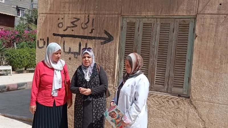 حملات في نبروه بالدقهلية