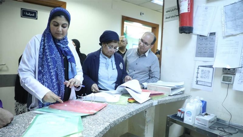 د.عبلة الألفي، فيتو