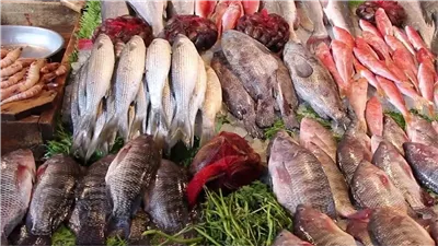 سعر السمك اليوم، تراجع البلطي بعد القفزة الجنونية وارتفاع كبير في الكابوريا