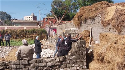 إزالة تعديات ومخالفات بناء على أراضي الدولة في الدقهلية 