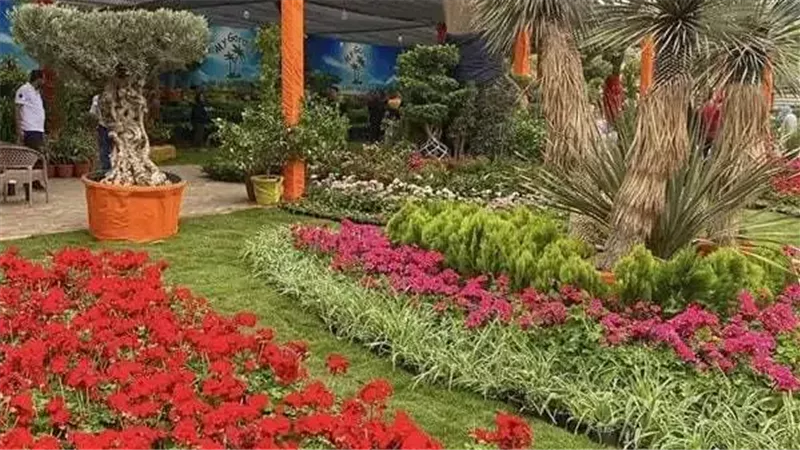 معرض زهور الربيع