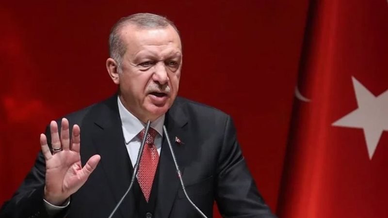 أردوغان، فيتو