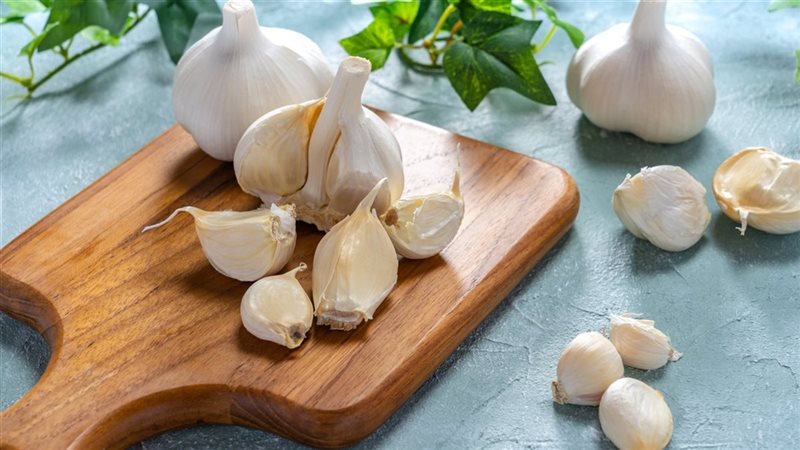 فوائد الثوم الطبيعية،