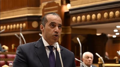 وزير الشئون النيابية: اجتماعات أسبوعية بالحكومة لمتابعة تيسيرات الإفراج الجمركي