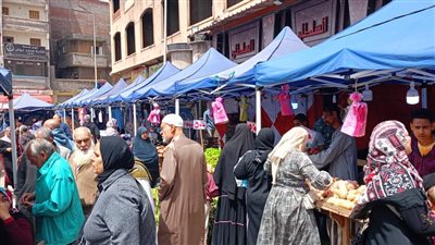 استمرار أسواق اليوم الواحد بأحياء الإسكندرية