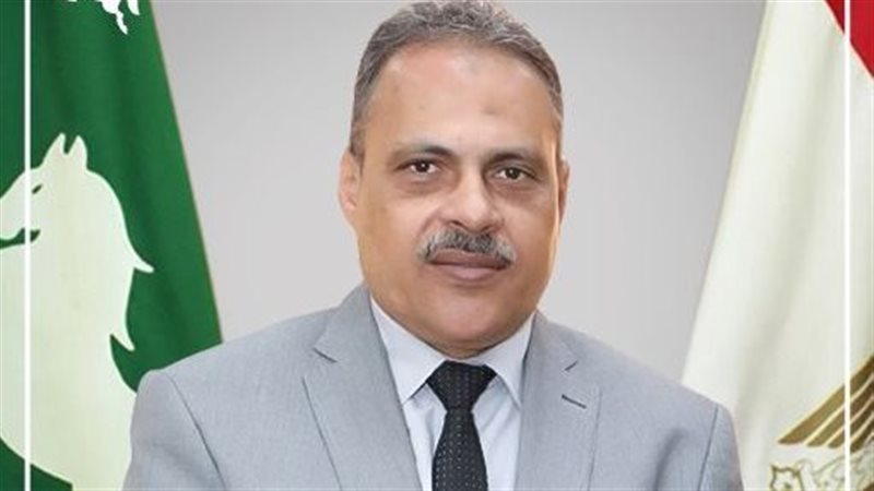 محافظ الشرقية