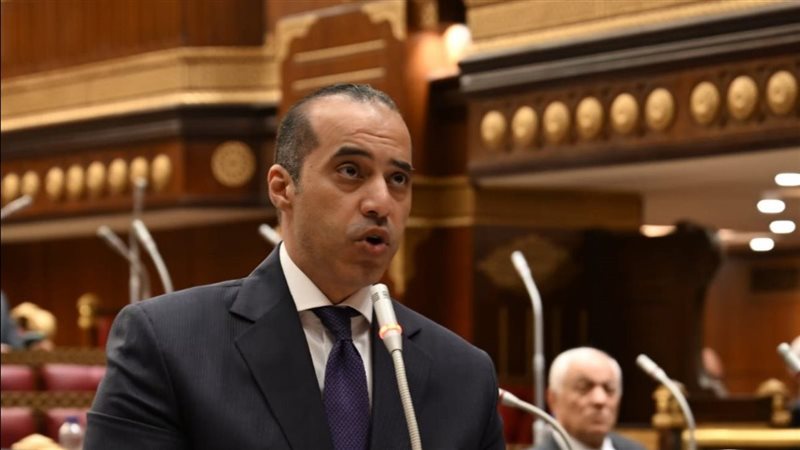 وزير الشئون النيابية