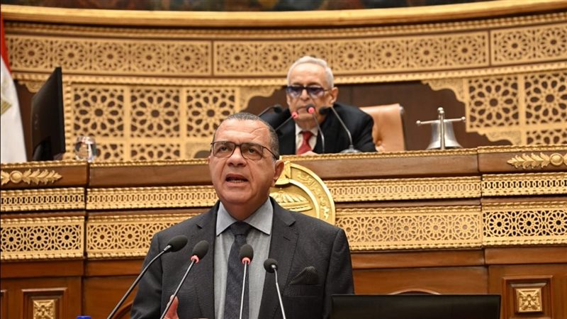 نائب وزير المالية،
